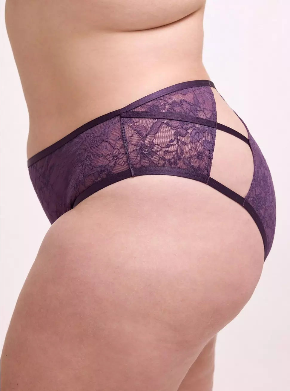 Women's LaceAura Cut-Out Mid-Rise Cheeky Lace Panty with Stretch Fabric